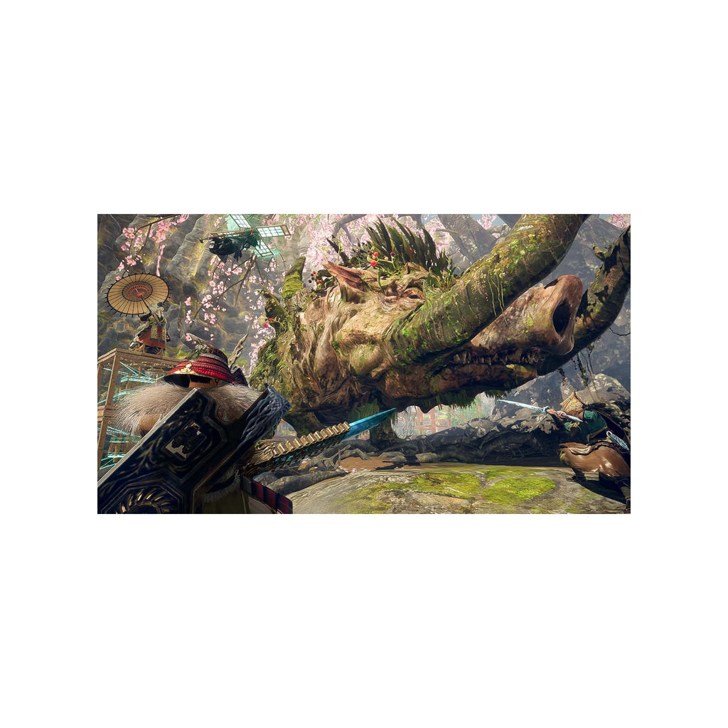 Wild Hearts S Switch 2