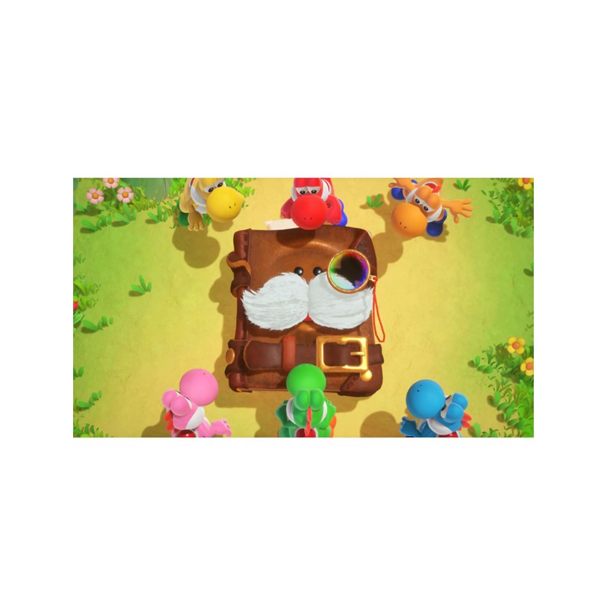 Yoshi and the Mysterious Book Switch 2